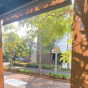 SUNTEX BLINDS - JGC