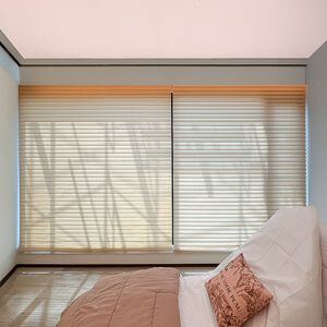 SHADOW-BLINDS
