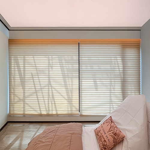 SHADOW-BLINDS