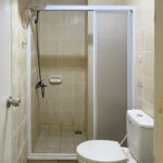 SHOWER-SCREEN-GREEN-VILLE