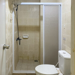 SHOWER-SCREEN-GREEN-VILLE