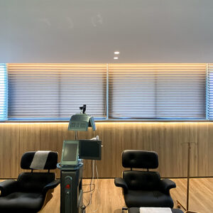 SHADOW-BLINDS-DIMOUT-THE-HAIR-SPACE-PIK